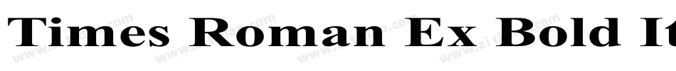 Times Roman Ex Bold Italic字体转换